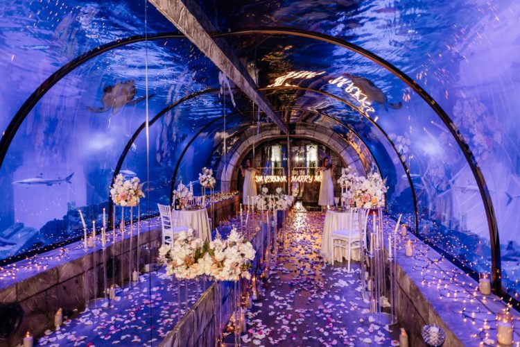 Оригінальне побачення в океанаріумі