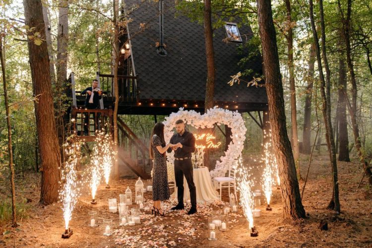 Освідчення біля будинку на дереві під Києвом